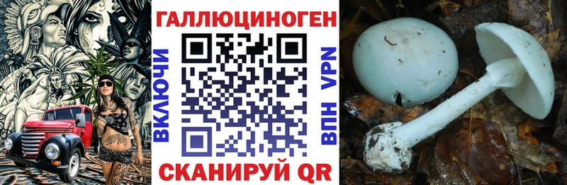 купить   Черемхово  Галлюциногенные грибы GOLDEN TEACHER 