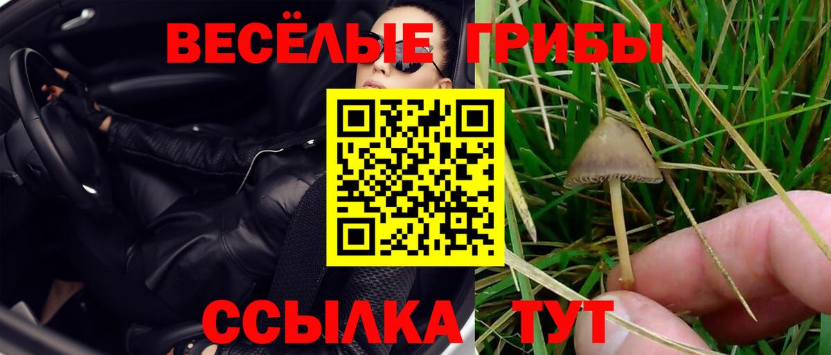 Галлюциногенные грибы Cubensis  Вход с VPN  закладка  Черемхово 